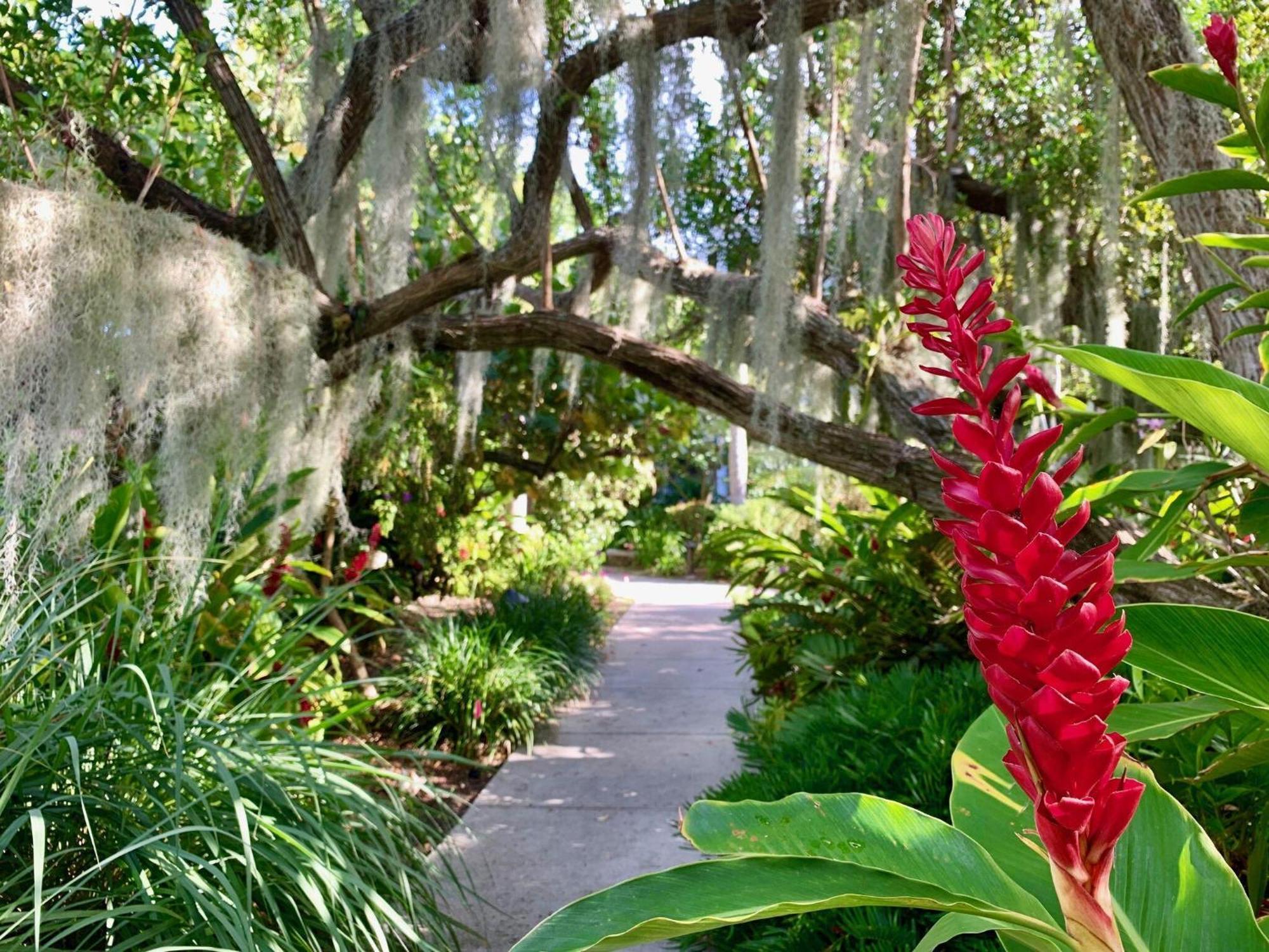 Beautifully Renovated Summer Of 2020 Come And Enjoy This Lovely Unit Key West Eksteriør bilde